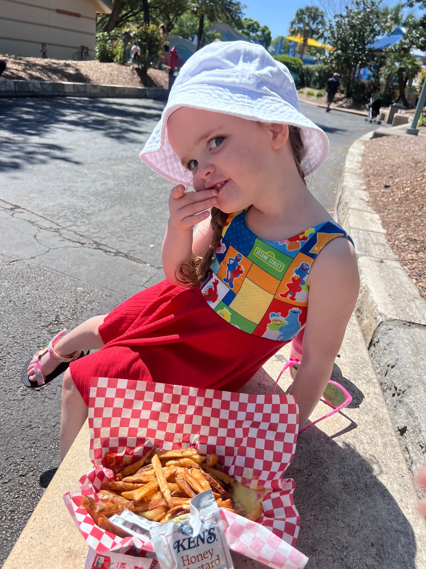 Sesame Street dress