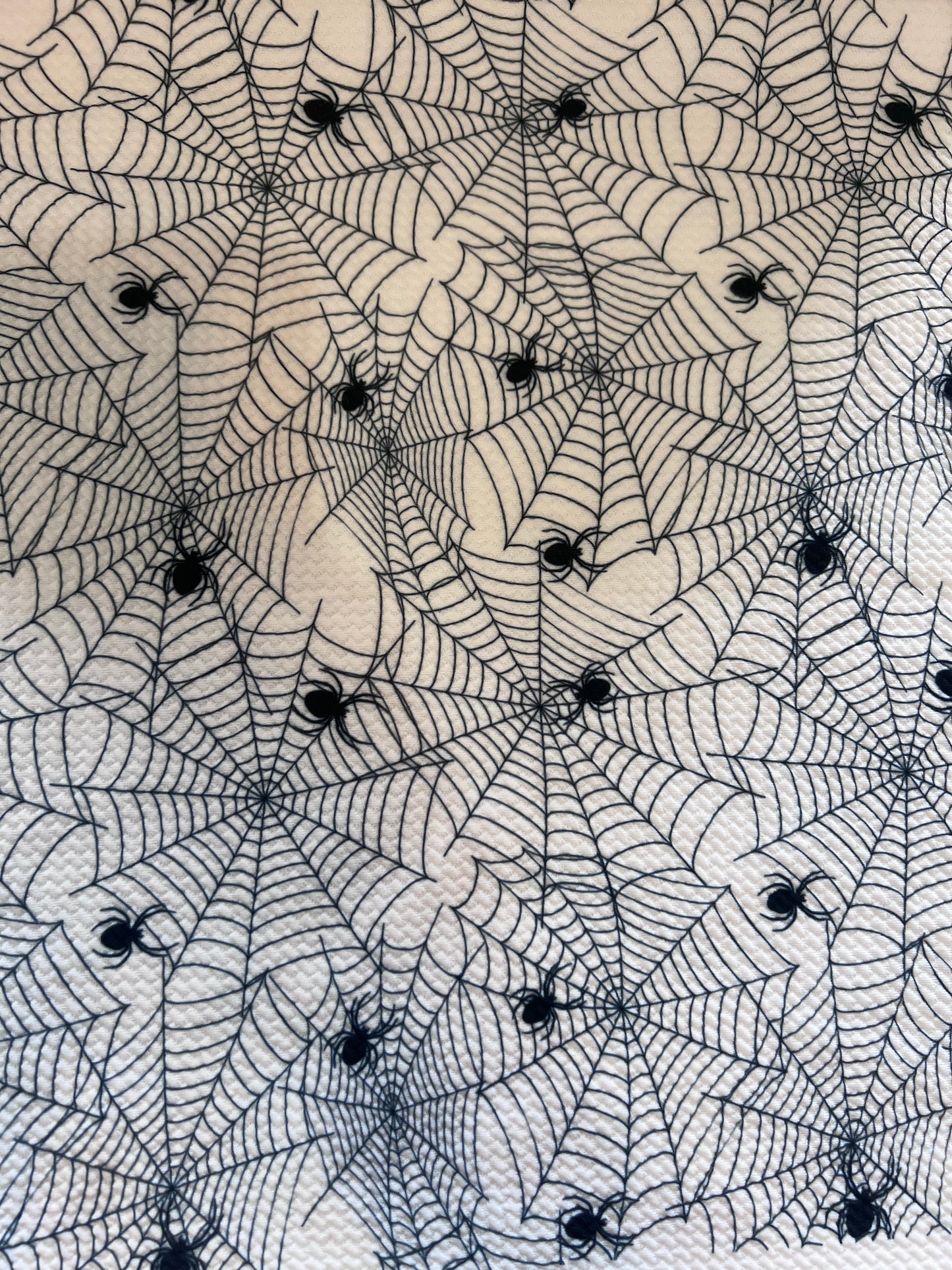 Spider webs