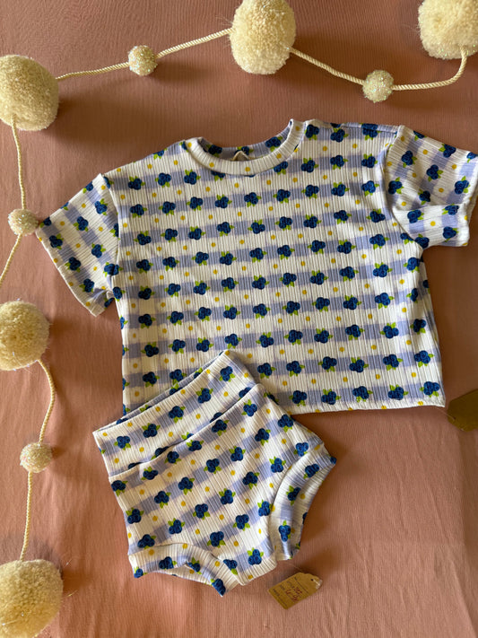 White blueberry set