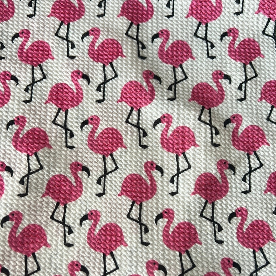 Flamingos with white background