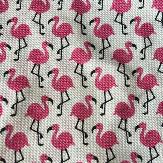 Flamingos with white background
