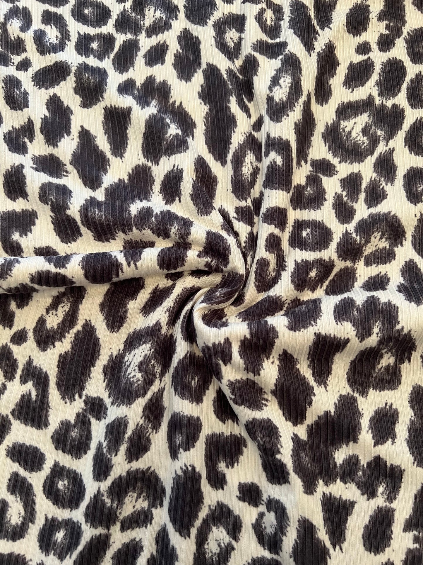 Grey Cheetah